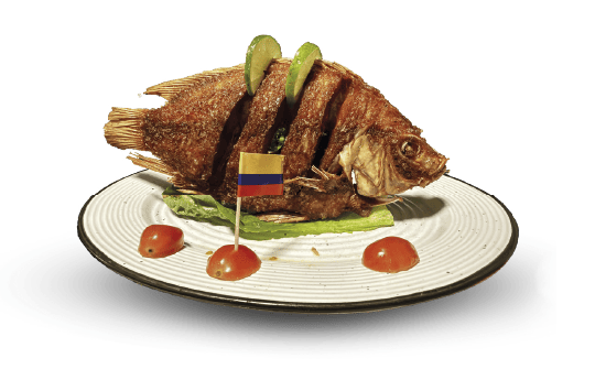 pescado (1)